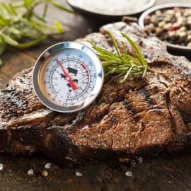BBQ vleesthermometer